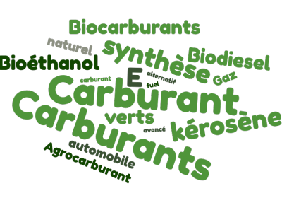 Biocarburants, carburants de synthèse, kérosène vert, ou l’éloge de la diversité terminologique