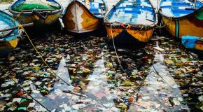 plastique et santé humaine